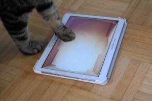 Kissan kiinnostus taulutietokoneen peleihin on laantumassa.