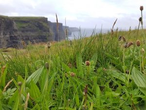 Cliffs of Moherin kunnioitusta herättävät äkkijyrkät kalliot Irlannin länsirannalla.